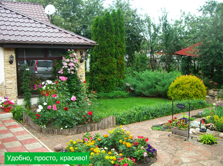 Цветы и растения. Клумбы и ландшафтный дизайн | ВКонтакте
