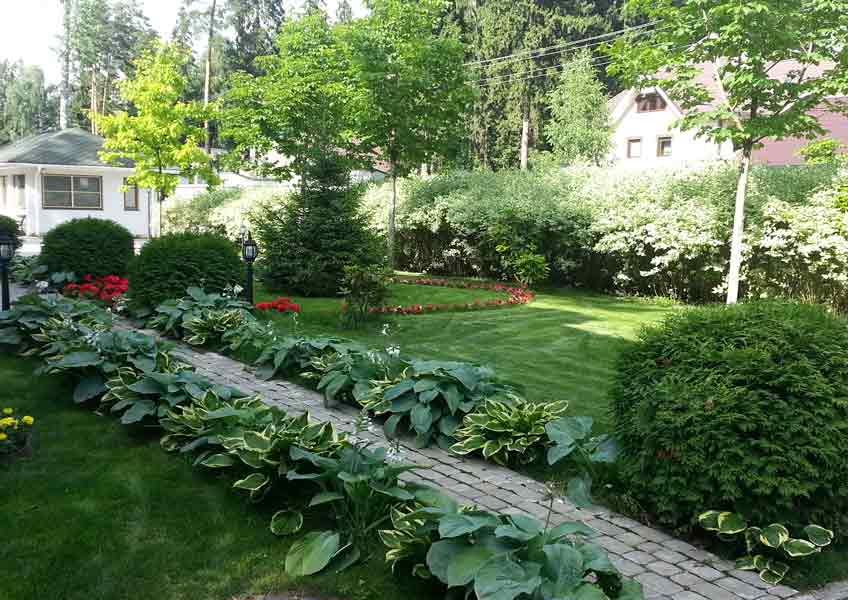 газон и кустарники в ландшафтном дизайне загородного дома