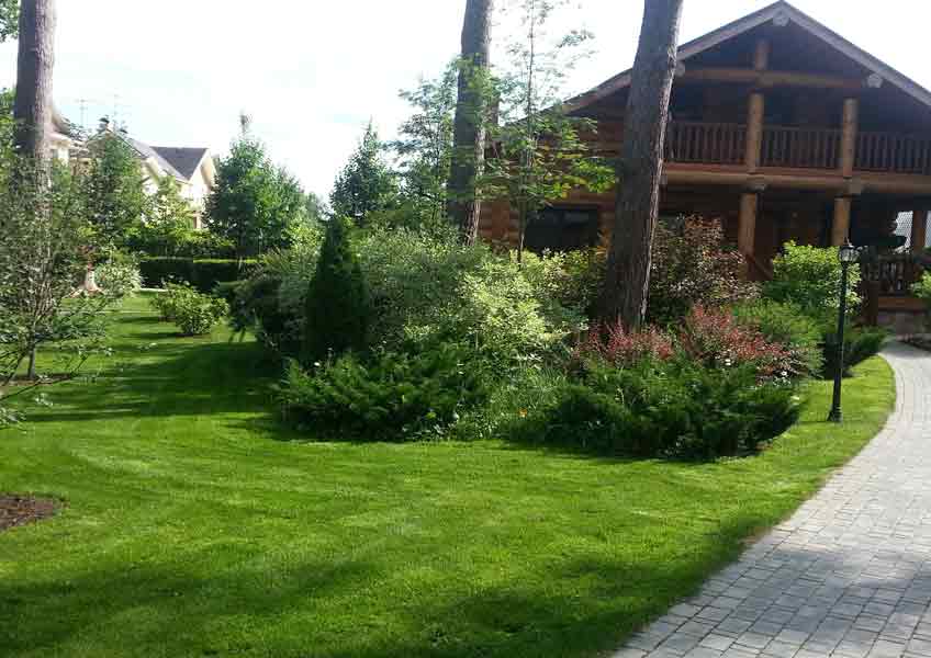 озеленение загородного дома: газон, кустарники